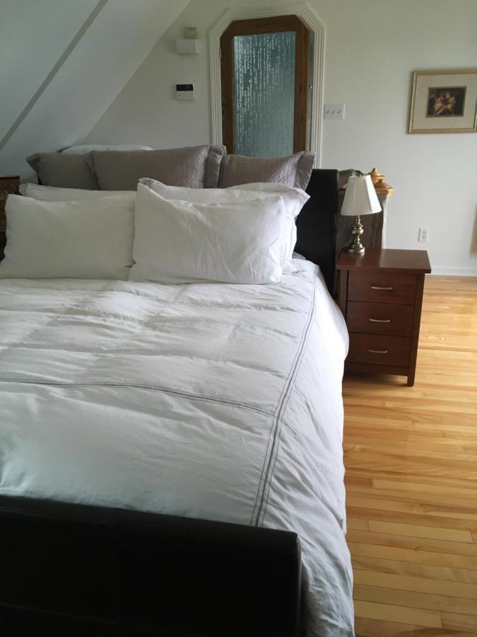 La Belle Aux Berges Bed and Breakfast Saint-Denis-sur-Richelieu Buitenkant foto