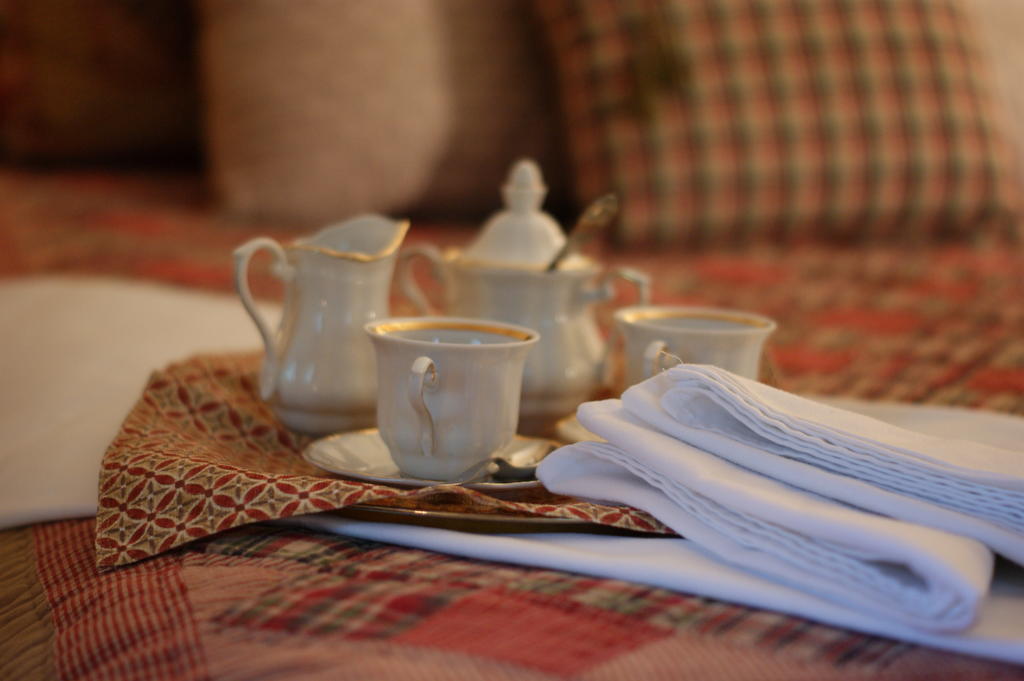 La Belle Aux Berges Bed and Breakfast Saint-Denis-sur-Richelieu Buitenkant foto