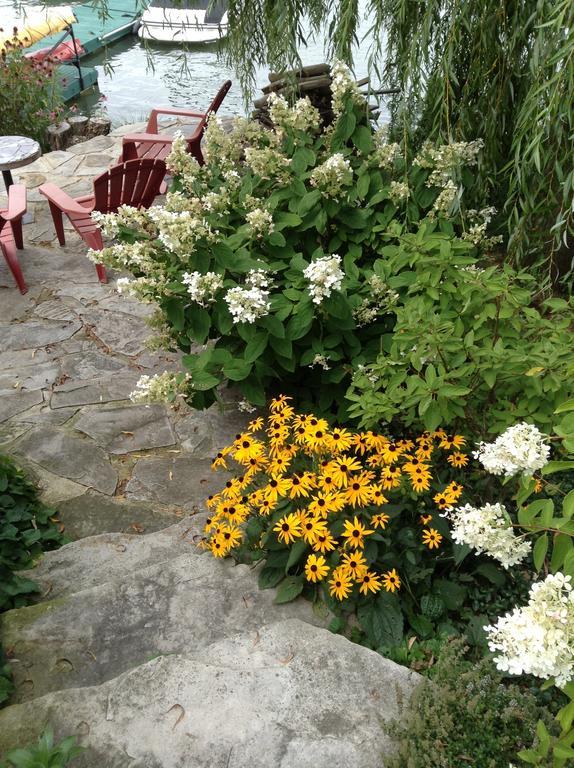 La Belle Aux Berges Bed and Breakfast Saint-Denis-sur-Richelieu Buitenkant foto