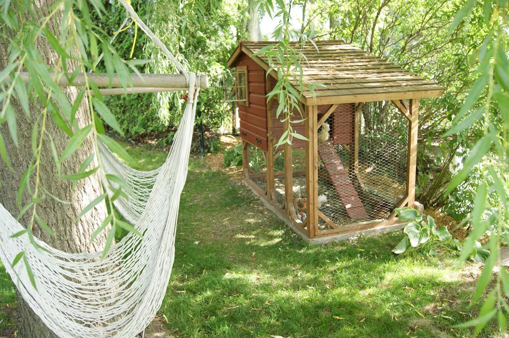 La Belle Aux Berges Bed and Breakfast Saint-Denis-sur-Richelieu Buitenkant foto