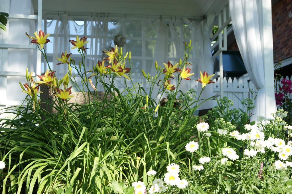La Belle Aux Berges Bed and Breakfast Saint-Denis-sur-Richelieu Buitenkant foto