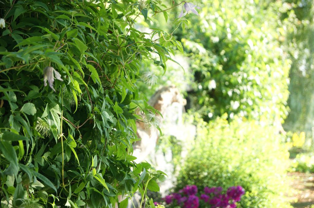 La Belle Aux Berges Bed and Breakfast Saint-Denis-sur-Richelieu Buitenkant foto